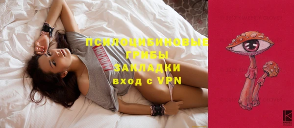 стафф Богданович