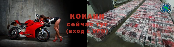 стафф Богданович