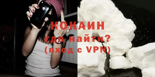 стафф Богданович