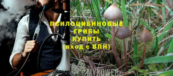 mix Богородск