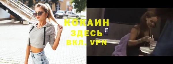 стафф Богданович
