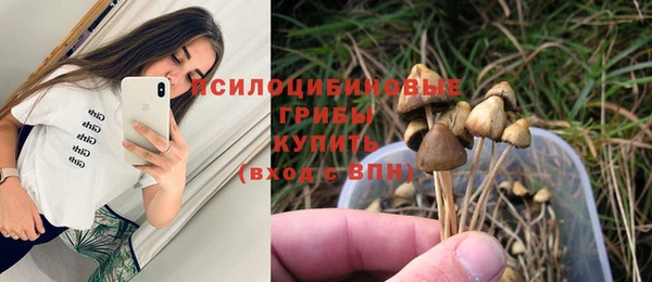 стафф Богданович