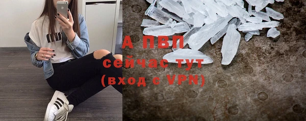 стафф Богданович