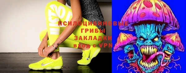 меф Богородицк